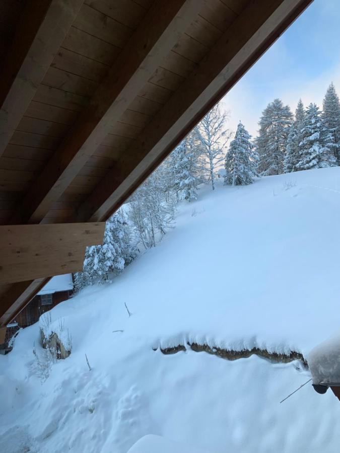 Landhaus Antonia Seefeld in Tirol Esterno foto